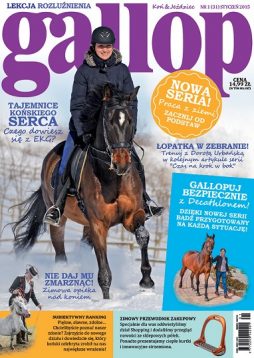Gallop styczeń 2015
