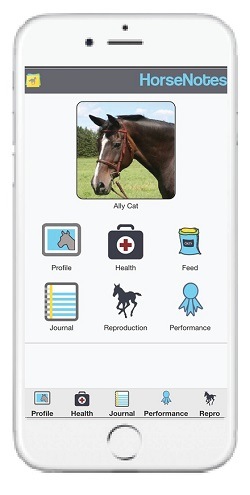 Jeździeckie aplikacje mobilne. Horse Notes