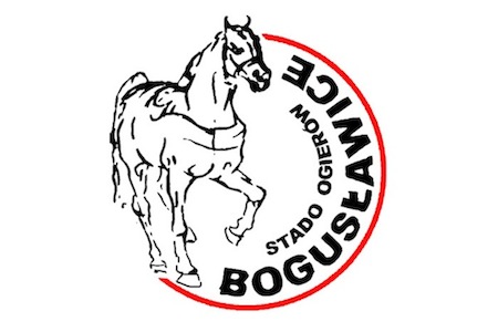 ZK Bogusławice