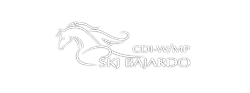 CDI-W Bajardo