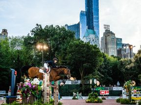 Central park Horse Show 2016