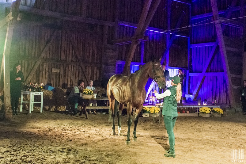 Aukcja koni sportowych podczas Baborówko Horse Sale Show / zdj. Katarzyna Lichnowska kaskal