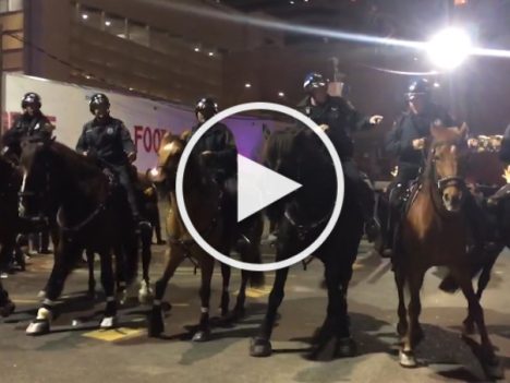 policja konna z houston