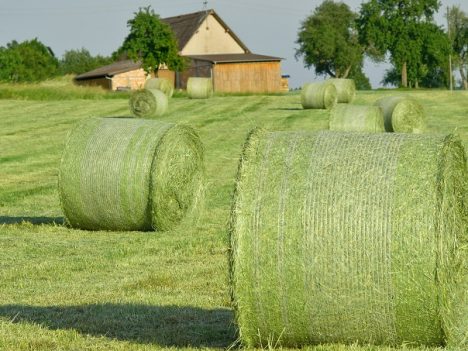 Pasza objętościowa jest ważna