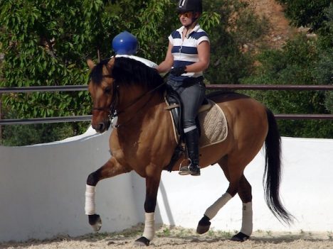 treningi jeździeckie w Hiszpanii