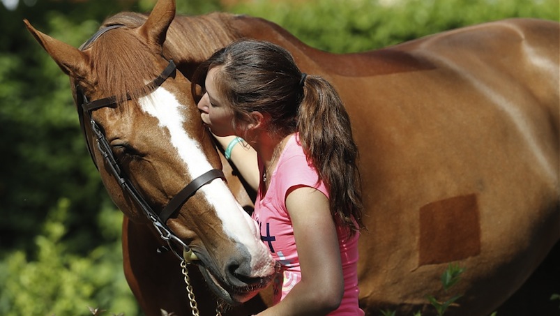 jak okazać koniowi miłość