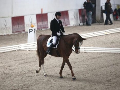 Mistrzostwa Polski w paraujeżdżeniu odwołane
