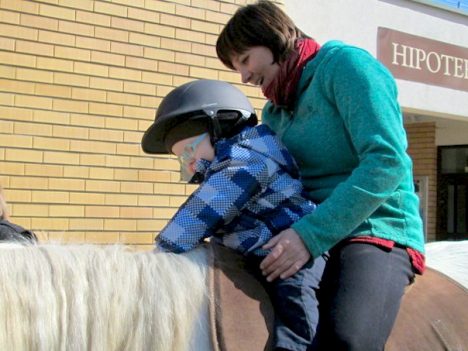 Fundacja Hipoterapia szuka nowego miejsca