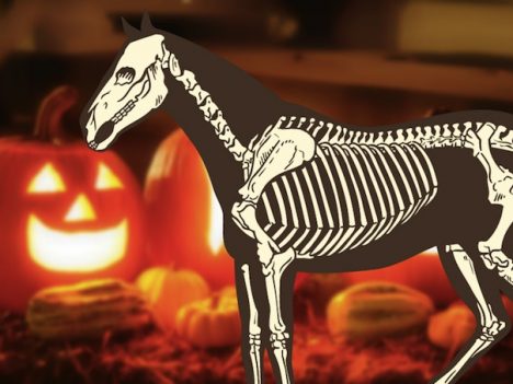 jeździeckie konkursy na Halloween