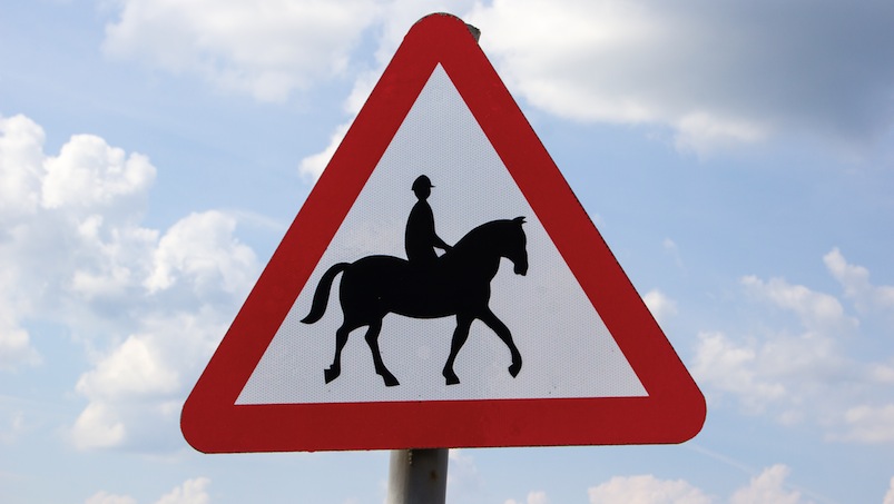 Quiz o jeździe konnej po drodze