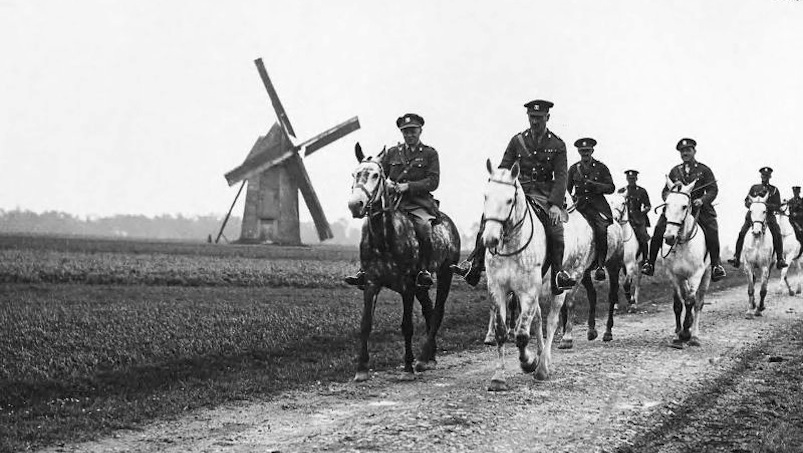 nagrodbek konia służącego w I wojnie światowej