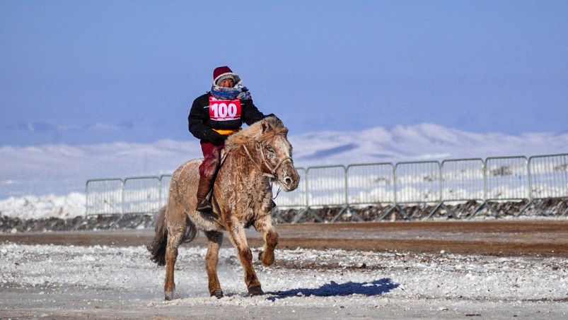 zakaz zimowych wyścigów konnych w Mongolii