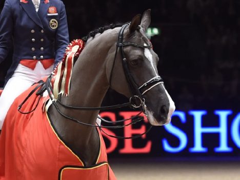 Valegro i kucyk