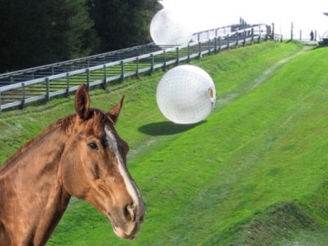 zorbing