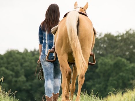 Pokój Koniarza Galloppl