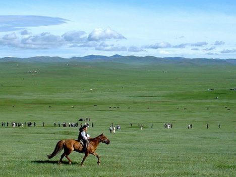 Mongol Derby 2019