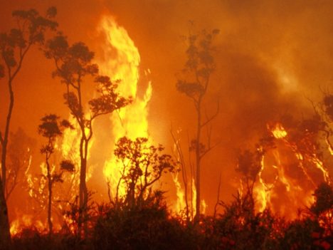 Equestrian Fire Relief Australia Fund